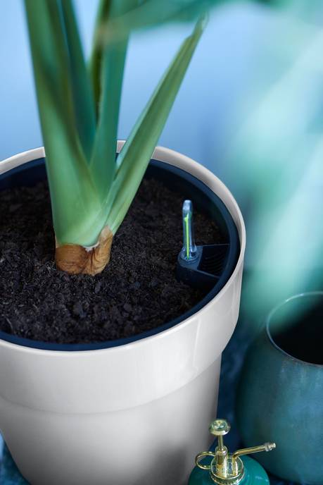 b.for original rond 22cm wit